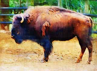 Illust, materieel, vrij, landschap, schilderstuk, schilderstuk, kleuren potlood, crayon, werkje,Amerikaanse bizon, Artiodactyla, Buffalo, Bizon, 