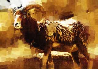 illustration,material,free,landscape,picture,painting,color pencil,crayon,drawing,MUFURON, Angle, Tsunoda, Sheep, 