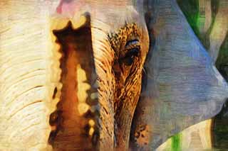 illust, materiale, libero panorama, ritratto dipinto, matita di colore disegna a pastello, disegnando,Elefante asiatico, L'elefante, Elefante, , Naso lungo