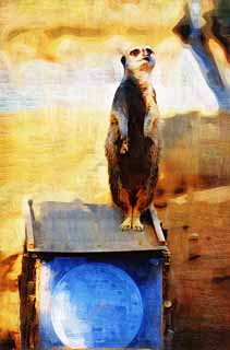 Illust, materieel, vrij, landschap, schilderstuk, schilderstuk, kleuren potlood, crayon, werkje,Stokstaartje, Waarschuwing, TIMON, Meerkat, Kleine beesten