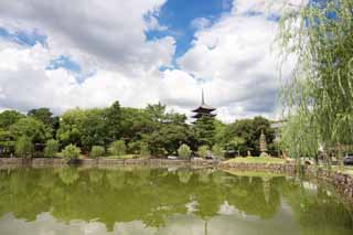 foto,tela,gratis,paisaje,fotografa,idea,Una laguna de Sarusawa, Sauce, Laguna, Parque de Nara - koen, Atraccin turstica