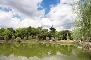 photo,material,free,landscape,picture,stock photo,Creative Commons,A pond of Sarusawa, willow, pond, Nara-koen Park, tourist attraction