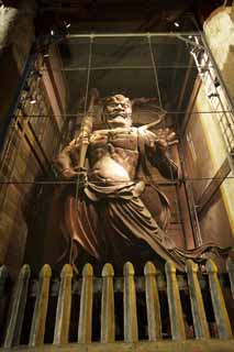 fotografia, materiale, libero il panorama, dipinga, fotografia di scorta,Tempio di Todai-ji statua di Re di Deva di legno, Tempio di Todai-ji, Scultura di Buddismo, Unkei, Chaitya