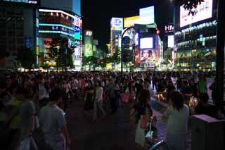 fotografia, material, livra, ajardine, imagine, proveja fotografia,A noite de Estao de Shibuya, O centro da cidade, passeador, Iluminao, multido