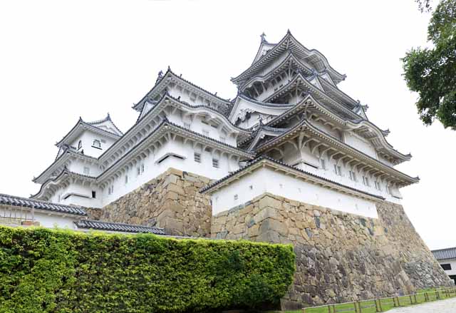 foto,tela,gratis,paisaje,fotografa,idea,Himeji - Castle de jo, Cuatro tesoros nacionales Castle, Sadanori Akamatsu, Shigetaka Kuroda, Hideyoshi Hashiba