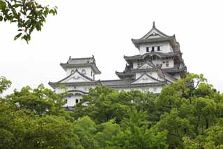 Foto, materiell, befreit, Landschaft, Bild, hat Foto auf Lager,Himeji-jo Burg, Vier nationale Schtze-Burg, Sadanori Akamatsu, Shigetaka Kuroda, Hideyoshi Hashiba