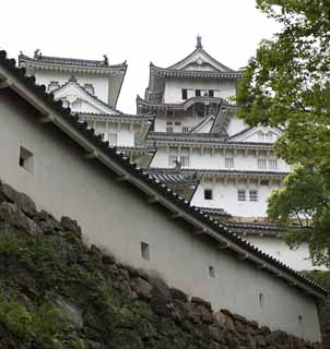 photo, la matire, libre, amnage, dcrivez, photo de la rserve,Himeji-jo Chteau, Quatre Chteau des trsors national, Sadanori Akamatsu, Shigetaka Kuroda, Hideyoshi Hashiba