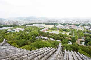 photo,material,free,landscape,picture,stock photo,Creative Commons,The scenery from Himeji-jo Castle, Four national treasures Castle, Sadanori Akamatsu, Shigetaka Kuroda, Hideyoshi Hashiba