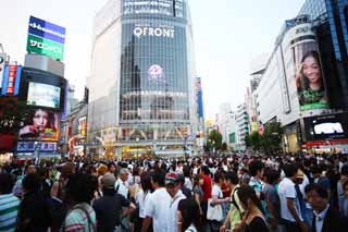fotografia, material, livra, ajardine, imagine, proveja fotografia,O cruzamento de Estao de Shibuya, O centro da cidade, passeador, passagem para pedestres, multido