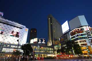 fotografia, materiale, libero il panorama, dipinga, fotografia di scorta,Notte di Shibuya, Il centro, citt di marchio, passaggio pedonale, segnale di neon