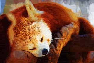 illustration,material,free,landscape,picture,painting,color pencil,crayon,drawing,The afternoon of the nap, panda, , red panda, nap