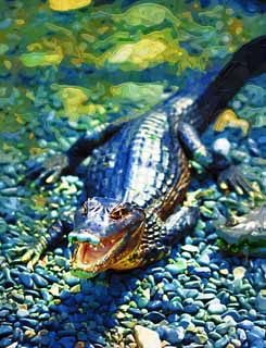 illustration,material,free,landscape,picture,painting,color pencil,crayon,drawing,Cobi Tokay man, crocodile, , , Reptiles