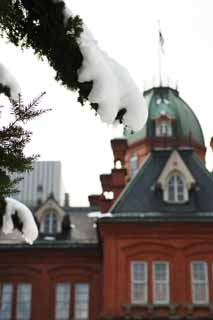 Foto, materiell, befreit, Landschaft, Bild, hat Foto auf Lager,Schnee und Hokkaido-Agentur, Der Schnee, Der Reim auf Bumen, Der Baum der Fichte, Hokkaido