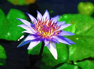 illustration,material,free,landscape,picture,painting,color pencil,crayon,drawing,A tropical water lily, , water lily, , 