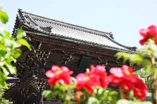 photo, la matire, libre, amnage, dcrivez, photo de la rserve,La porte Deva de Temple Hase-dera, Mikado, Le Kannon, adorateur, Mitera de la fleur