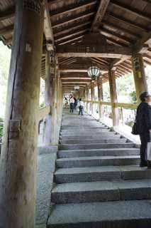 photo, la matire, libre, amnage, dcrivez, photo de la rserve,L'en haut de couloir de Temple Hase-dera, couloir, Escalier, adorateur, Mitera de la fleur