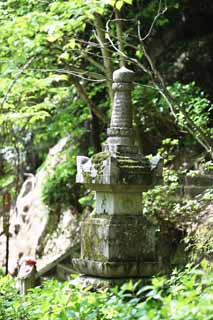 fotografia, material, livra, ajardine, imagine, proveja fotografia,A torre para o repouso de almas de Templo de Hase-dera, sobressaia para o repouso de almas, Musgo, Chaitya, Mitera da flor