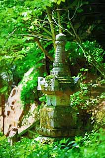 illustration,material,free,landscape,picture,painting,color pencil,crayon,drawing,The tower for the repose of souls of Hase-dera Temple, tower for the repose of souls, Moss, Chaitya, Mitera of the flower