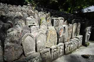 Foto, materieel, vrij, landschap, schilderstuk, bevoorraden foto,Ishibotoke van Hase-dera Tempel, Gedenkteken dienst, Ishibotoke, Chaitya, Mitera van de bloem