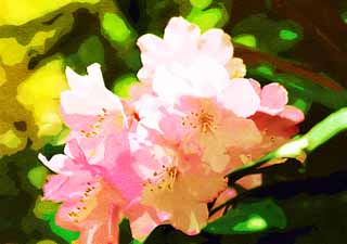 illustration,material,free,landscape,picture,painting,color pencil,crayon,drawing,A rhododendron, , An azalea, I am gorgeous, Masami