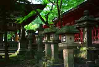 photo,material,free,landscape,picture,stock photo,Creative Commons,Mossy stone lanterns, building, green, red, 