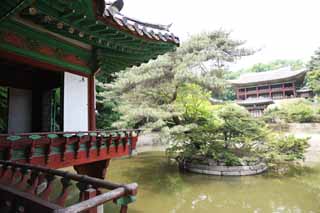 photo,material,free,landscape,picture,stock photo,Creative Commons,A cotton rose bower, The Imperial Court architecture, tile, I am painted in red, world heritage