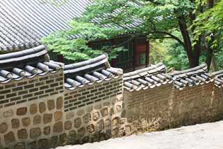 fotografia, materiale, libero il panorama, dipinga, fotografia di scorta,Il muro del sacrario di Akitoku, La Corte Imperiale l'architettura, tegola, Ishigaki, eredit di mondo