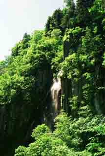 fotografia, materiale, libero il panorama, dipinga, fotografia di scorta,Cadute profondo nelle montagne, acqua, campo, verde, 