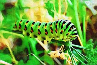 illust, material, livram, paisagem, quadro, pintura, lpis de cor, creiom, puxando,A larva do rabo de andorinha amarelo comum, borboleta, , lagarta verde, 