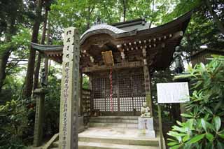 foto,tela,gratis,paisaje,fotografa,idea,Un templo de cambio maravilloso de monte. Takao, Buena paseante oracin, Nio ogro extrao, Giyoja Enno, Templo