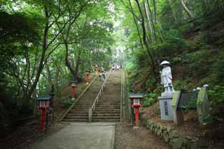 , , , , ,  .,  Mt. Takao,    ,   , , 