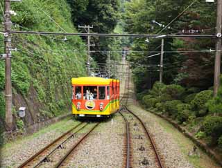 photo,material,free,landscape,picture,stock photo,Creative Commons,The orbit of the Mt. Takao cable car, track, mountain climbing visitor, Hiking, An excursion