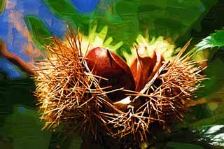 illustration,material,free,landscape,picture,painting,color pencil,crayon,drawing,A chestnut, chestnut, , , marron