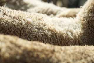 photo,material,free,landscape,picture,stock photo,Creative Commons,Natural wool, sheep, sheep, sheep, Wool