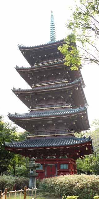 fotografia, material, livra, ajardine, imagine, proveja fotografia,Templo de Kanei-ji cinco pagode de Storeyed, Budismo, Cinco pagode de Storeyed, Chaitya, Eu sou pintado em vermelho