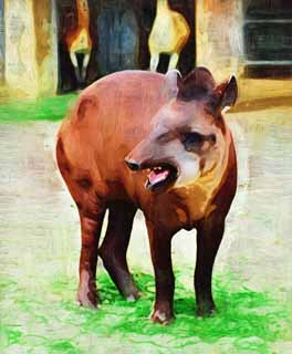 illust, materiale, libero panorama, ritratto dipinto, matita di colore disegna a pastello, disegnando,Un tapiro americano, tapiro, sogno, Un orecchio, zanna