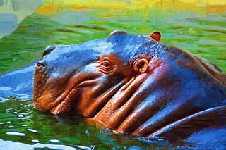 illust, , , , , ,  ,  , .,hippopotamus, hippopotamus, Hippo, , grazing 