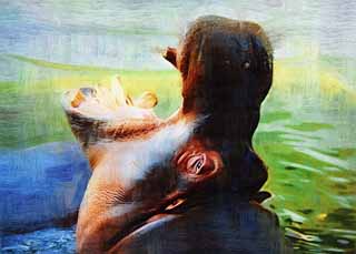 illustration,material,free,landscape,picture,painting,color pencil,crayon,drawing,A hippopotamus, hippopotamus, Hippo, Amiability, grazing animal