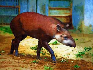 illust, materiale, libero panorama, ritratto dipinto, matita di colore disegna a pastello, disegnando,Un tapiro americano, tapiro, sogno, Un orecchio, Sonnolenza