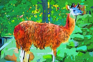 illust, material, livram, paisagem, quadro, pintura, lpis de cor, creiom, puxando,Uma lama, , Leveza, , animal domstico