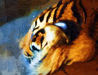 illust, material, livram, paisagem, quadro, pintura, lpis de cor, creiom, puxando,O cochilo do tigre, tigre, , , 