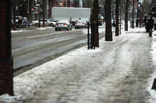 Foto, materieel, vrij, landschap, schilderstuk, bevoorraden foto,Volgens Sapporo, Berm boom, Steenweg, Auto, De sneeuw schaffend