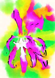 Illust, materieel, vrij, landschap, schilderstuk, schilderstuk, kleuren potlood, crayon, werkje,Epidendrum orchidee, Rose, Een orchidee, Bloei, De tropische zone