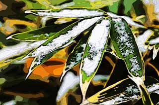 illust, materiale, libero panorama, ritratto dipinto, matita di colore disegna a pastello, disegnando, nevoso ad erba di bamb, erba di bamb, La neve, cristallo nevoso, foresta