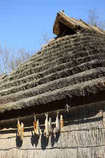 photo,material,free,landscape,picture,stock photo,Creative Commons,The cold airing of the salmon, Thatch, salmon, salmon, Salmon Toba