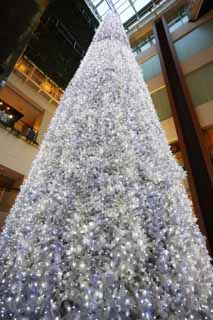 ʐ^,f,,t[,tHg,NGCeBuERY,i,ǎ,NX}X, LED, X'mas, , N