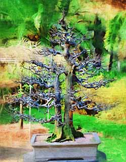 illust, materiell, befreit, Landschaft, Bild, Gemlde, Farbbleistift, Wachsmalstift, Zeichnung,,Ein koreanischer Bonsai, Bonsai, Gartenpflanze, Gartenarbeit, Art