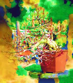 Illust, materieel, vrij, landschap, schilderstuk, schilderstuk, kleuren potlood, crayon, werkje,Een Koreaans bonsai, Bonsai, Tuinplant, Tuinier, Kunst