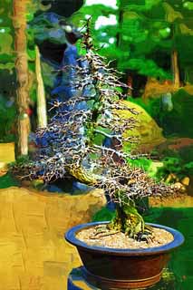 illust, , , , , ,  ,  , ., bonsai, bonsai,  , Gardening, 