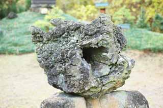 Foto, materiell, befreit, Landschaft, Bild, hat Foto auf Lager,Ein Stein der Lava, grtnern Sie Stein, Loch, Gartenarbeit, Eine Zierde